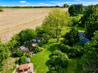 Picture 24